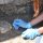 Una tartaruga e il suo uovo trovati nei nuovi scavi di Pompei